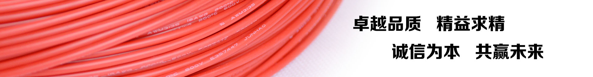 新葡的京集团8814电线