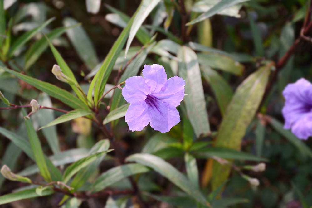 新葡的京集团8814(股份)有限公司官网